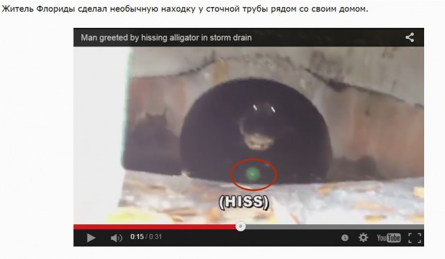 Опасная находка в сливной трубе во Флориде