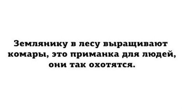 Тупик эволюции
