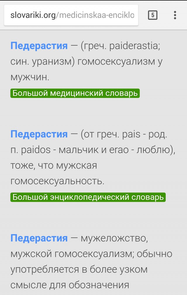 Ролик про российские выборы обидел геев