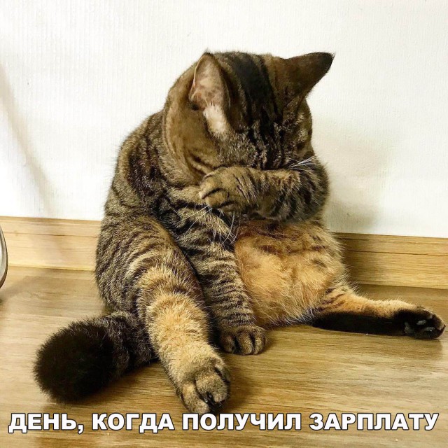 Немного милоты
