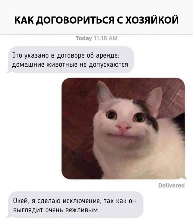 Прикольные картинки абавсём