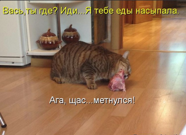 Немного милоты