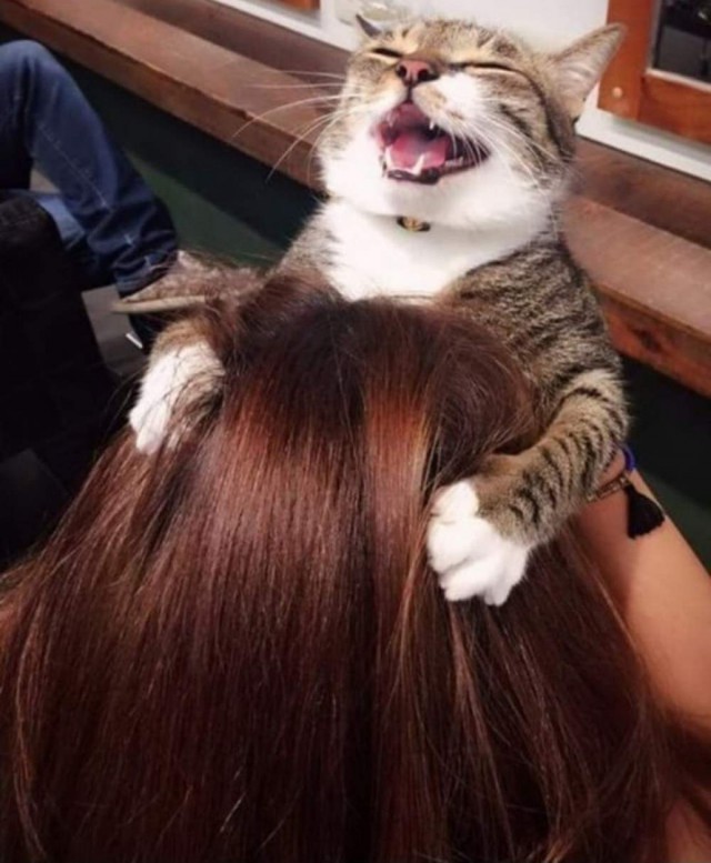 Чудики из социальных сетей