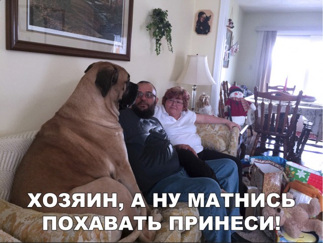 Нестандартный юмор
