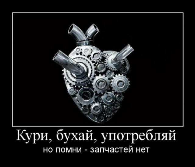 Картинки с надписями и анекдоты
