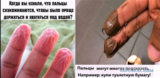 Немного картинок с надписями и без - 30