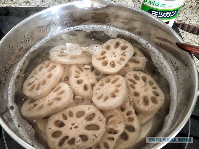 Корень лотоса - красивый и вкусный:)