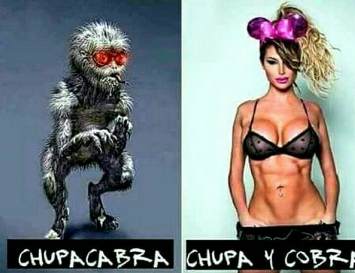 Ассорти из сети