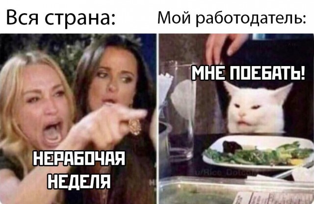 Мем "женщина кричит на кота" и его варианты