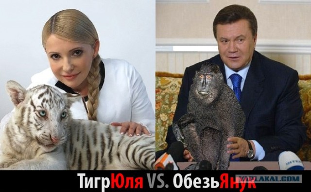 Прокачай своего политика