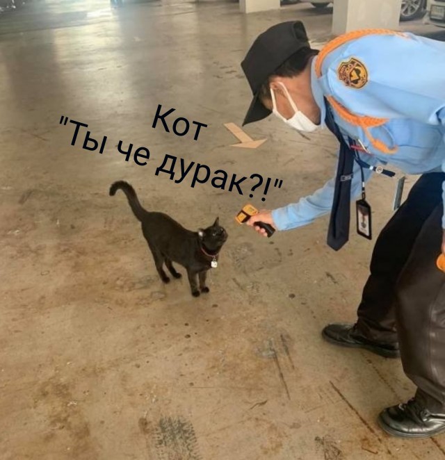 Юмор из соцсетей