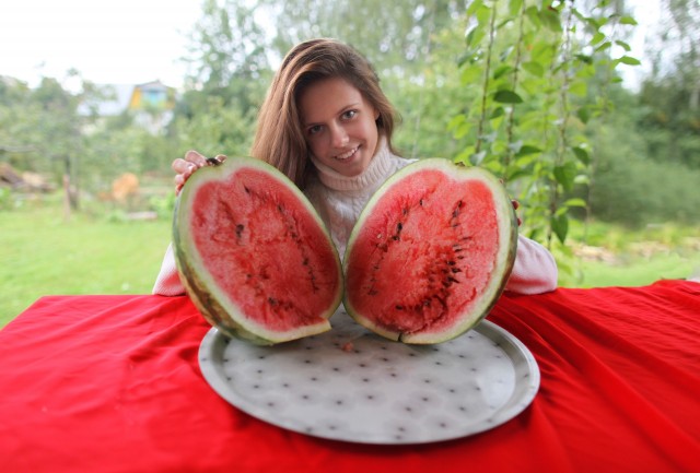 Барышни из Сетей (пятничная).