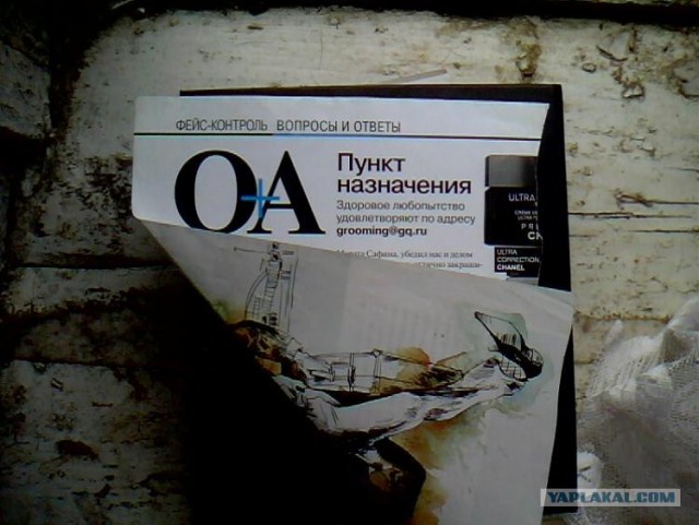 Расшифровка "i pet goat 2"
