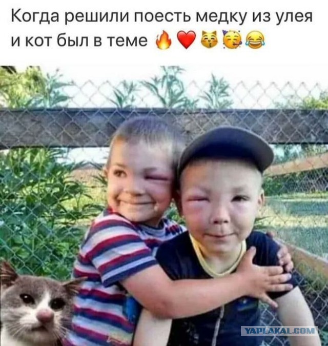 Тут что-то не так