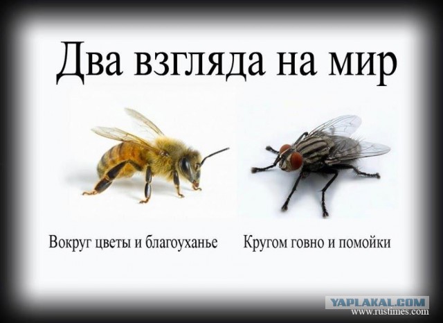 За женой на Филиппины