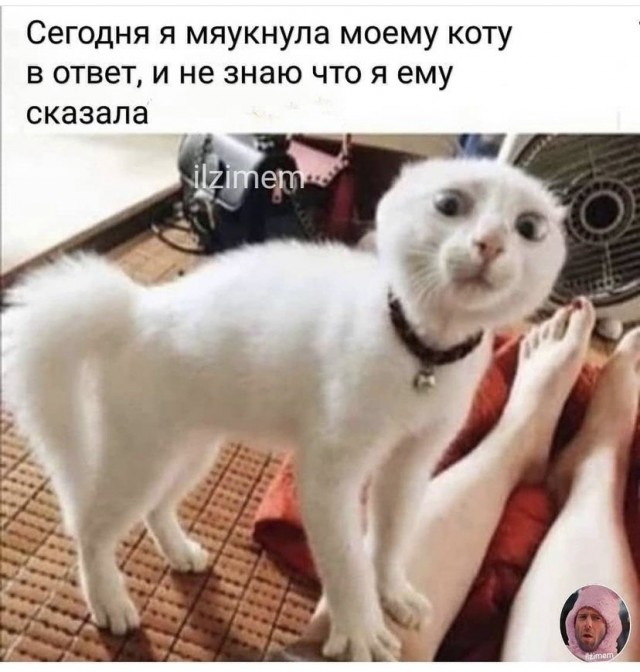 Картинки на вчера