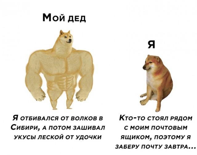 Весёлый полтишок 21.06.2021