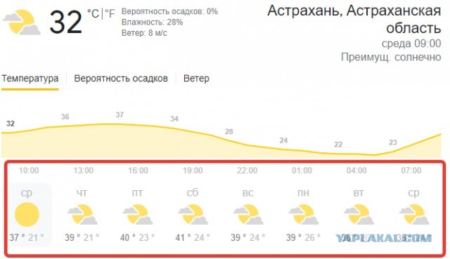 Жара испепеляет центральную часть России
