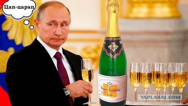 Торговая марка "Вдова Кабаева"