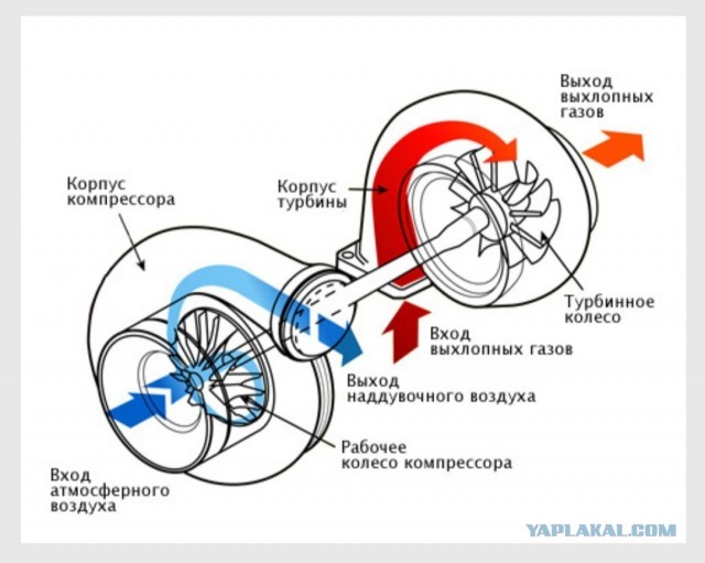 Необычная душевая лейка