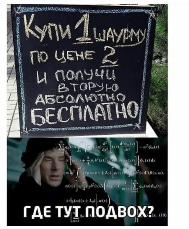 Весёлый полтишок 10.08