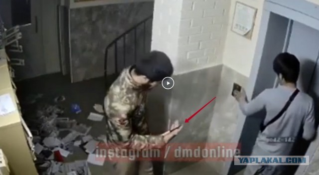 Хотел узнать свежие новости, но вспомнил, что не умеет читать