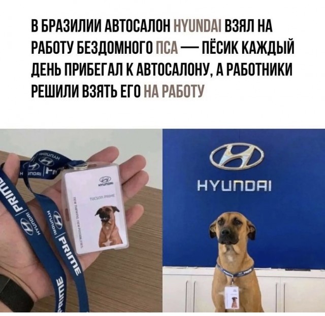 Картинки и мемы для настроения 2021.09.07