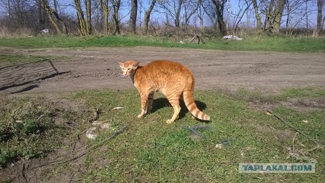 С женщинами после 40 можно уже бесплатно