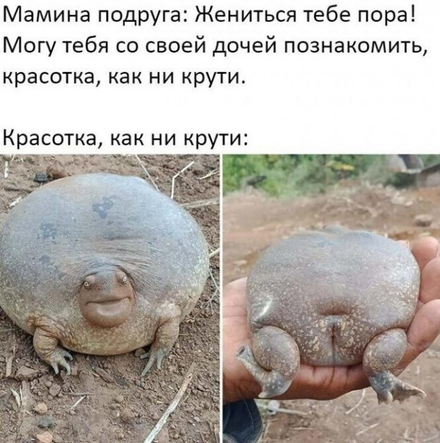 Так себе картинки 27.11.21