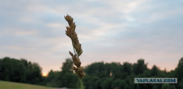 Просто любительские фото