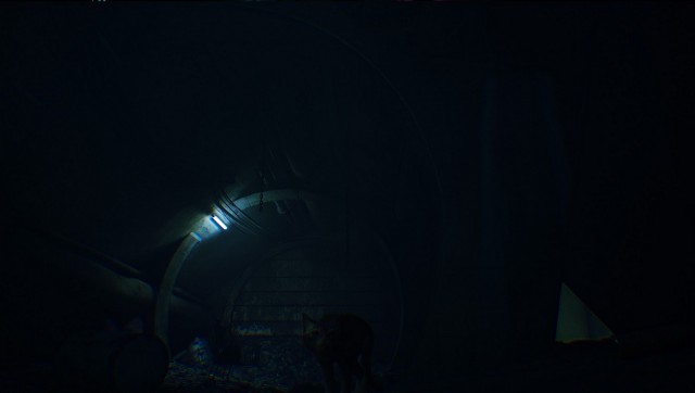 Кошачье приключение Stray стало самой популярной игрой в Steam
