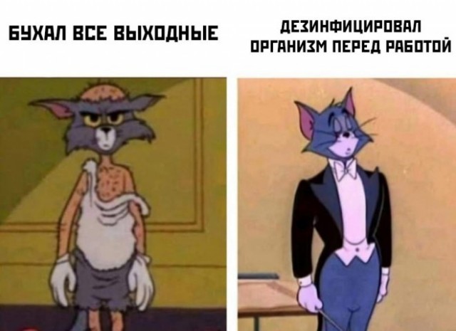 Картинки и мемы для настроения - 31