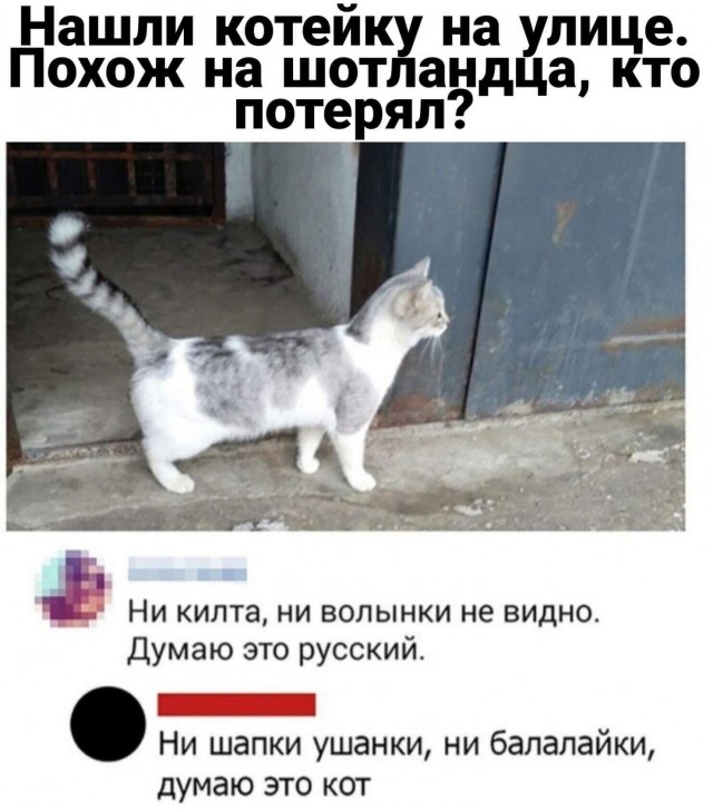 Юмор в картинках и без