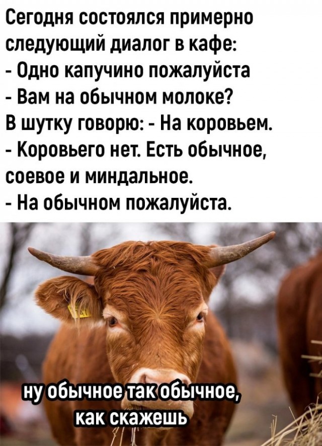 Немного картинок для настроения - 137