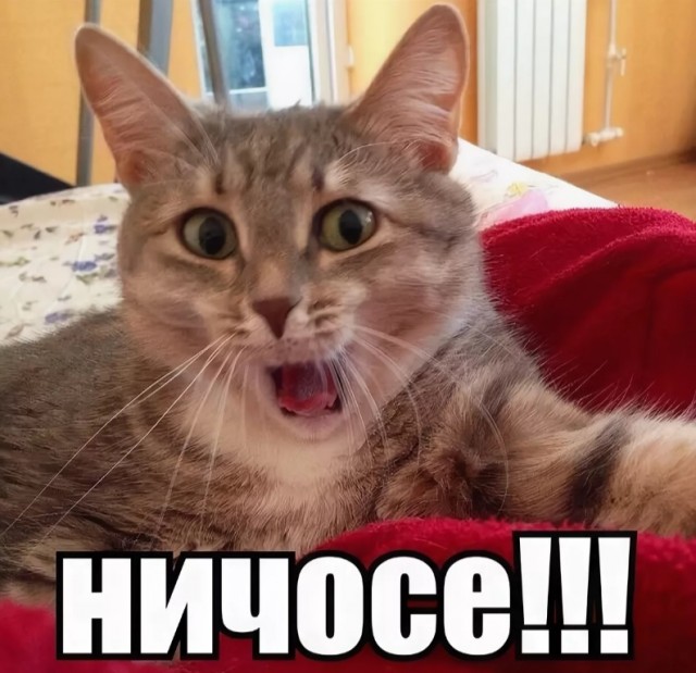 Ква, *ля