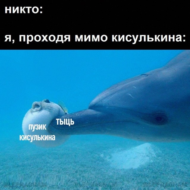 Немного картинок для настроения