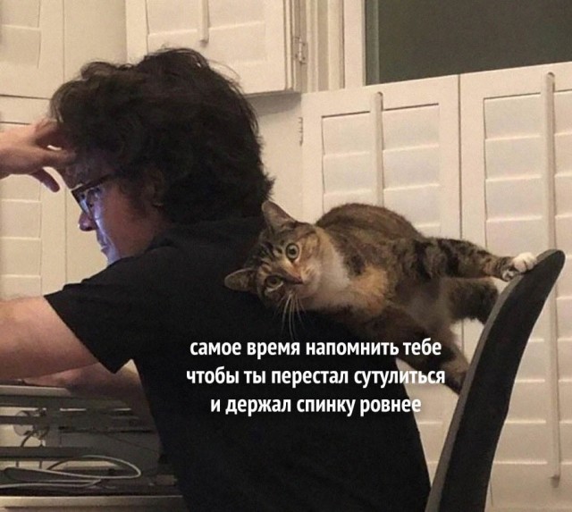 Картинки и мемы для настроения - 119