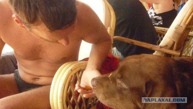 Фото отчёт о поездке в Индию.