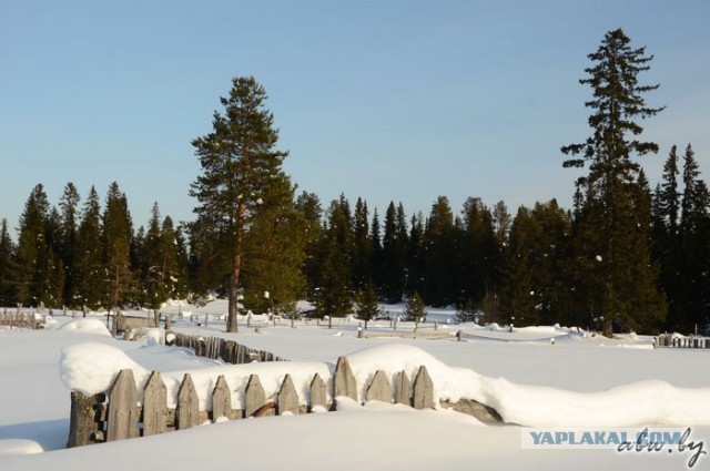 Дорога, которой нет: зимник Вуктыл - Воркута