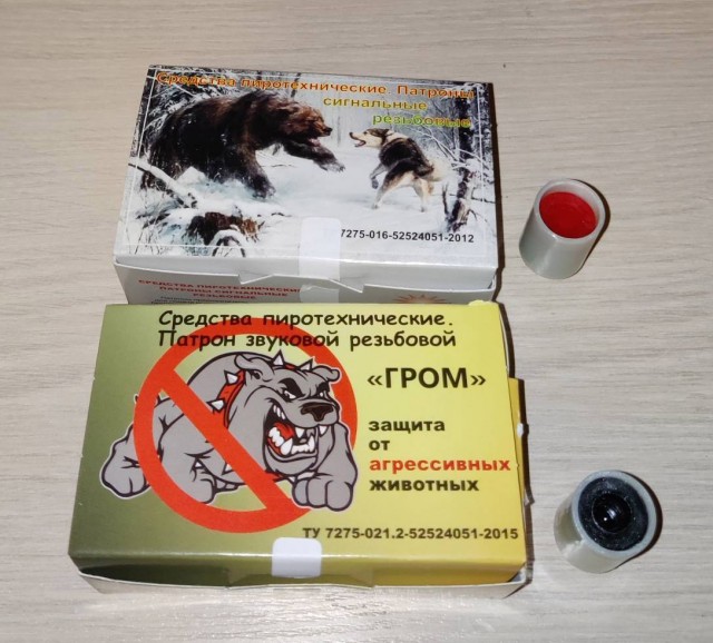 В Кабардино-Балкарии на велосипедиста попытались напасть два домашних пса, но его защитила бродячая собака