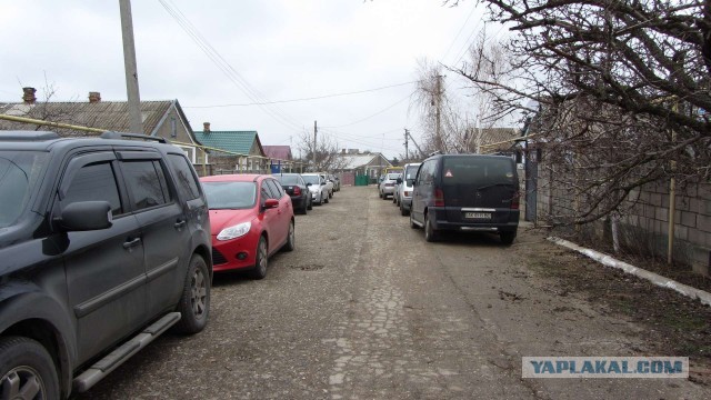 Крым в феврале или "Не стреляйте в белых лебедей!"