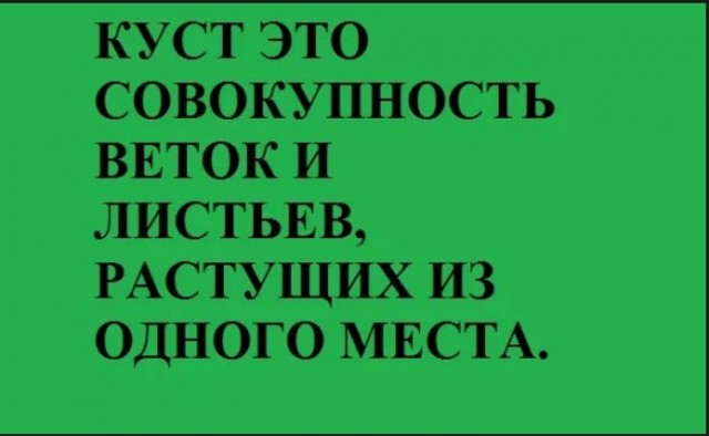Год назад. Доклад ООН про изменение климата: худшее впереди