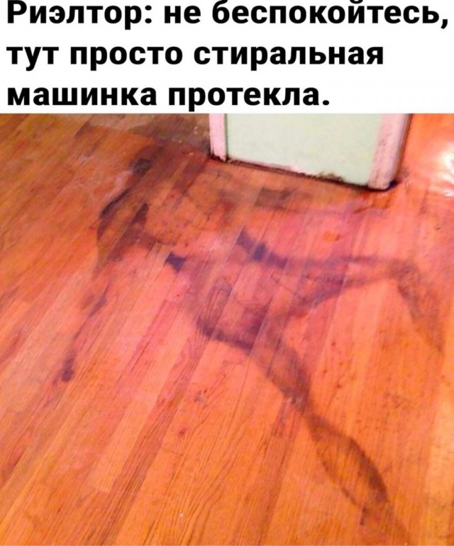 Весёлый полтишок 15.09.23