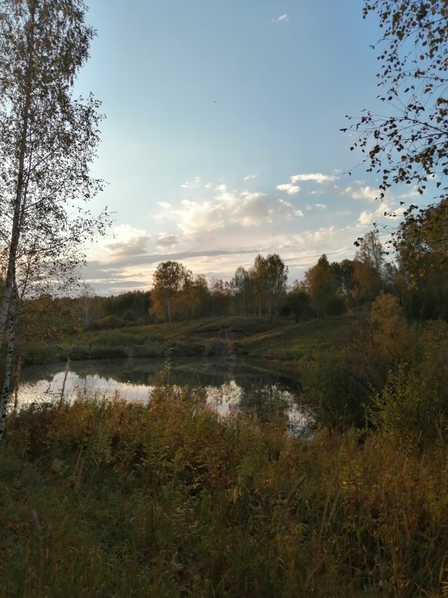 Краски осени