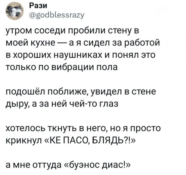 Забавные комментарии из социальных сетей (16.10.23)