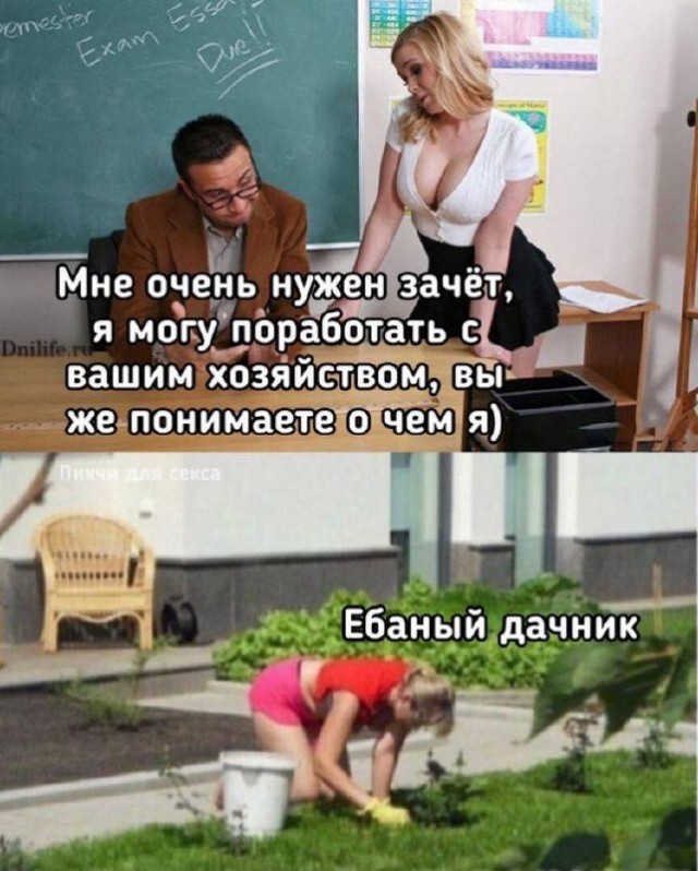 Весёлый полтишок 19.11.23
