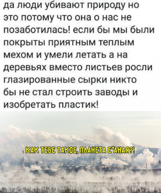 Весёлый полтишок 29.12.23
