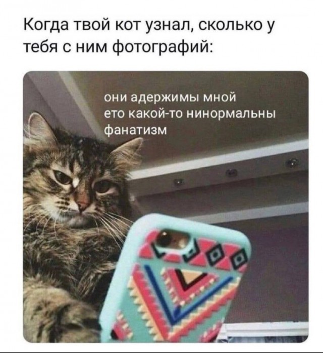 Засняли тебя после РАБоты