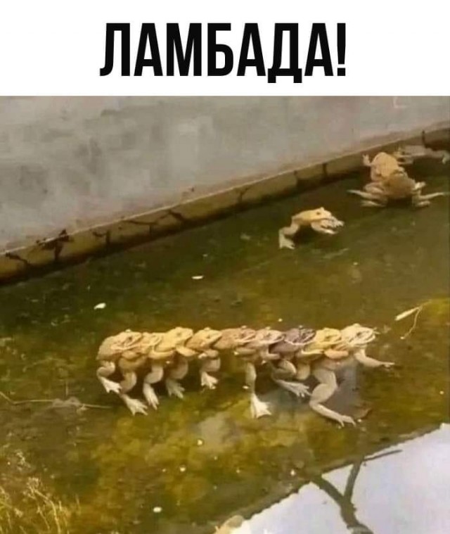 Пятничного настроение