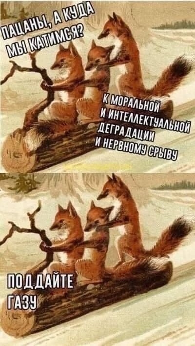 Немного наркомании и шизофрении в ленту